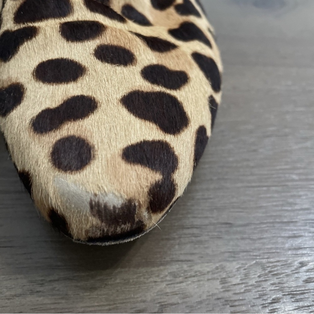 Tory Burch Leopard Print Ankle Booties - Picture 6 of 7